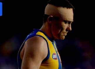 Future Uncertain for Eagles Legend McGovern After Concussion future-uncertain-for-eagles-legend-mcgovern-after-concussion