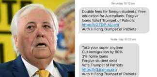 Investigation into Palmer’s Texts: PM’s Promise nvestigation-into-palmers-texts-pms-promise