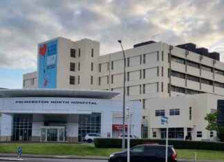 Palmerston North Hospital staff demand increased security measures palmerston-north-hospital-staff-demand-increased-security-measures