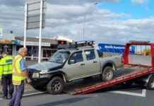 Police Seek Witnesses in Traffic Light Pole Fatality police-seek-witnesses-in-traffic-light-pole-fatality