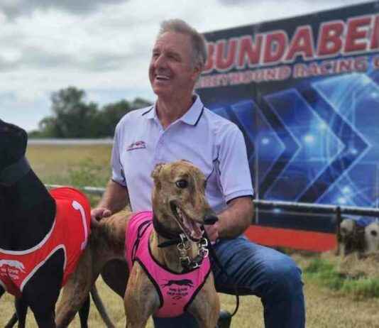 Queensland Government’s $4m Greyhound Racing Track Upgrade queensland-governments-4m-greyhound-racing-track-upgrade