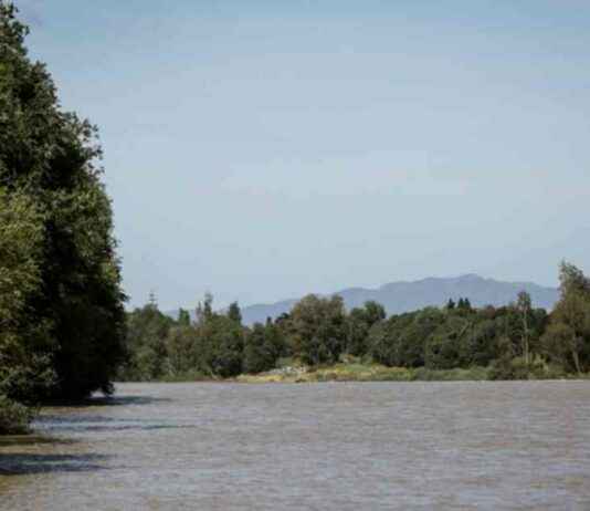 Severe Weather Alert: Strong Winds and Thunderstorms Forecast in New Zealand severe-weather-alert-strong-winds-and-thunderstorms-forecast-in-new-zealand