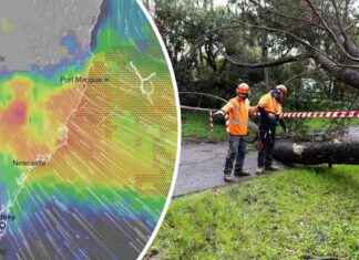 Severe Weather Forces Dozens of NSW Schools to Close, Urges Residents to Stay Inside severe-weather-forces-dozens-of-nsw-schools-to-close-urges-residents-to-stay-nside