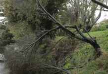 State of Emergency: Heavy Rain and Gales Hit South Island & Wellington state-of-emergency-heavy-rain-and-gales-hit-south-sland-wellington