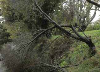 State of Emergency: Heavy Rain and Gales Hit South Island & Wellington state-of-emergency-heavy-rain-and-gales-hit-south-sland-wellington