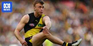 Tigers vs Roos: Intriguing Rebuild Comparison at MCG tigers-vs-roos-ntriguing-rebuild-comparison-at-mcg