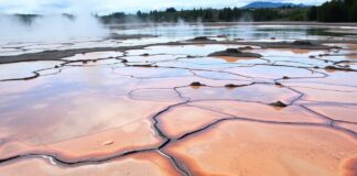 Rotorua’s Unique Geothermal Landscape: A Delicate Balance Between Tourism and Conservation Rotorua's Unique Geothermal Landscape: A Delicate Balance Between Tourism and Preservation