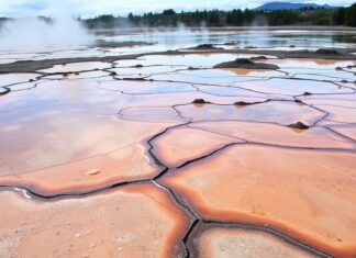 Rotorua’s Unique Geothermal Landscape: A Delicate Balance Between Tourism and Conservation Rotorua's Unique Geothermal Landscape: A Delicate Balance Between Tourism and Preservation
